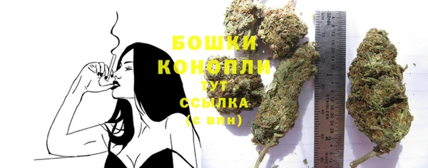 ГАЛЛЮЦИНОГЕННЫЕ ГРИБЫ Белоозёрский