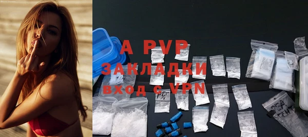 амф Белокуриха